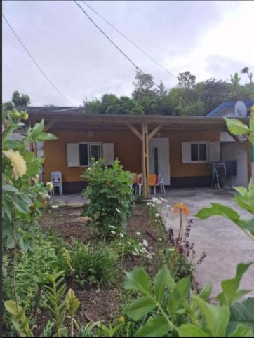 Pomme de Pin - B&B Cilaos