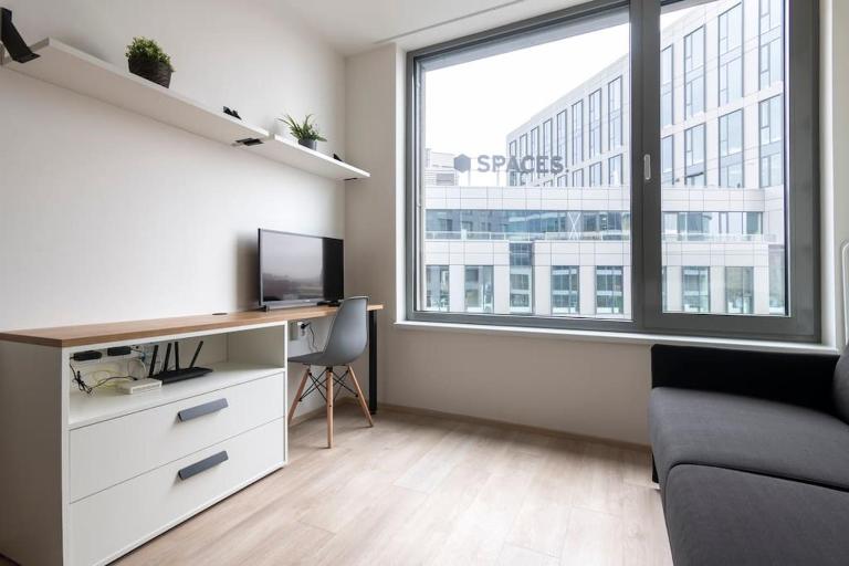 Central Tiny Flat, 1GB WiFi, SMART TV, Air Condition - B&B Praga