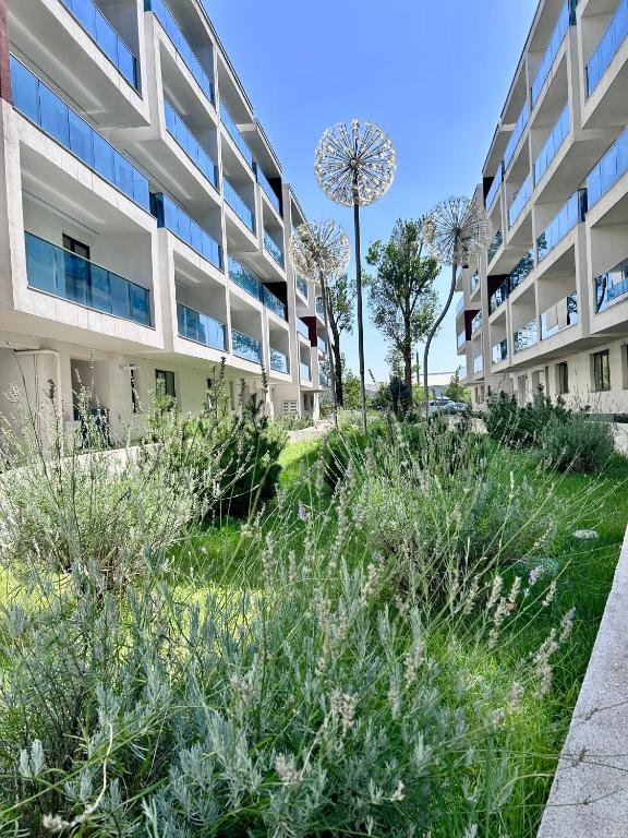 EM House - B&B Otopeni