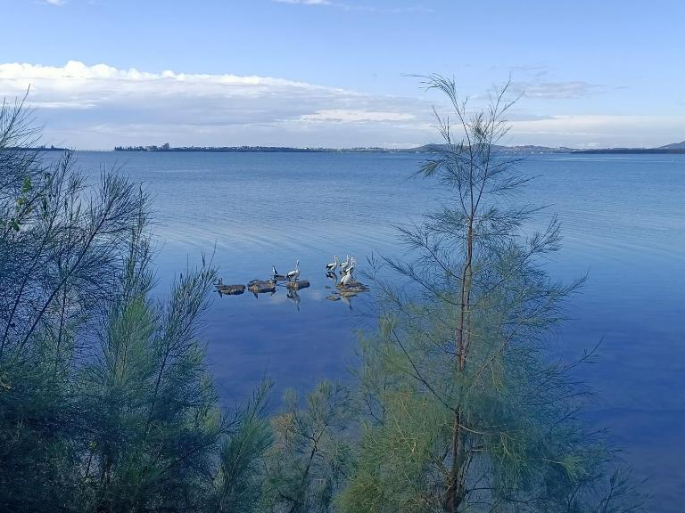Sunrise lake house - B&B Rocky Point