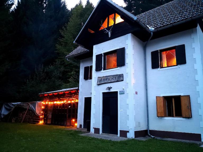 Ski Cottage - Bed and Breakfast Semič