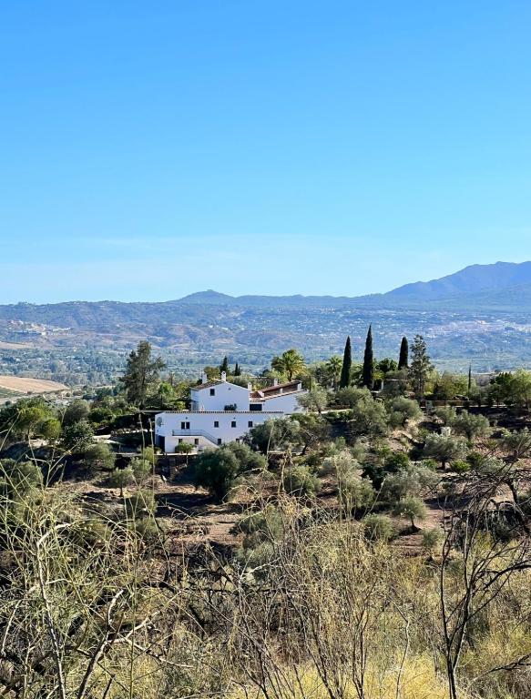 Santa Teresa Bed & Breakfast Andalusien - B&B Pizarra