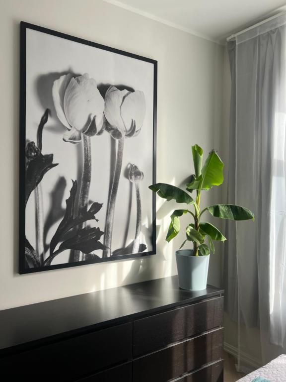 Sventer Residence - B&B Tallinn