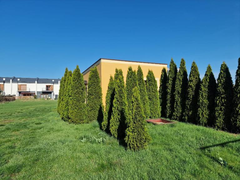 Lisi Zakątek - B&B Włocławek