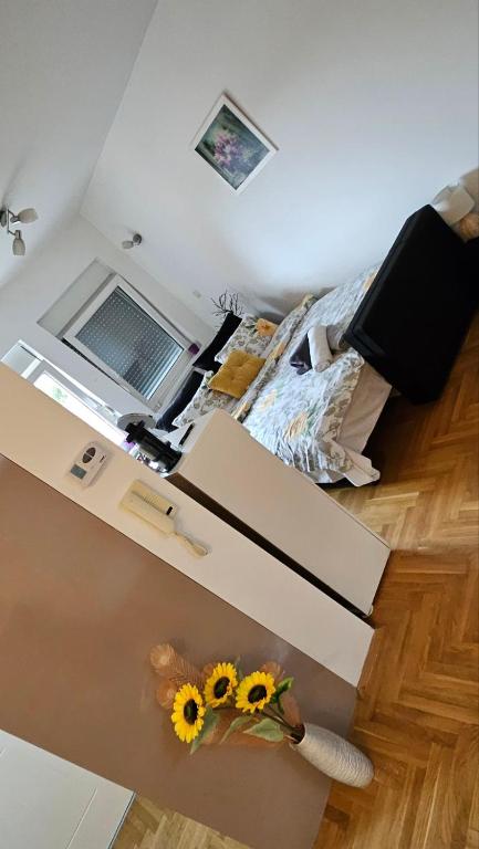Sova - Bed and Breakfast Vršac