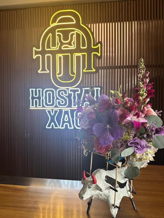 HOSTAL XAO - Bed and Breakfast Oaxaca de Juárez