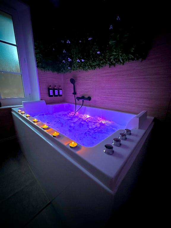 Maison avec jacuzzi proche aéroport CDG et Astérix - Bed and Breakfast Dammartin-en-Goële