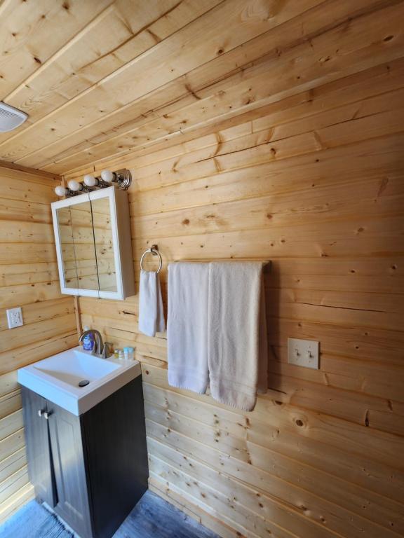 The Rocky Mountain Cabin - B&B Apple Valley