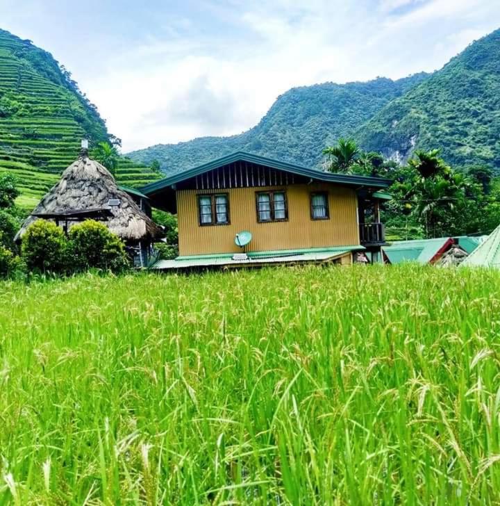 Batad Village Homestay & Restaurant - B&B Banaue