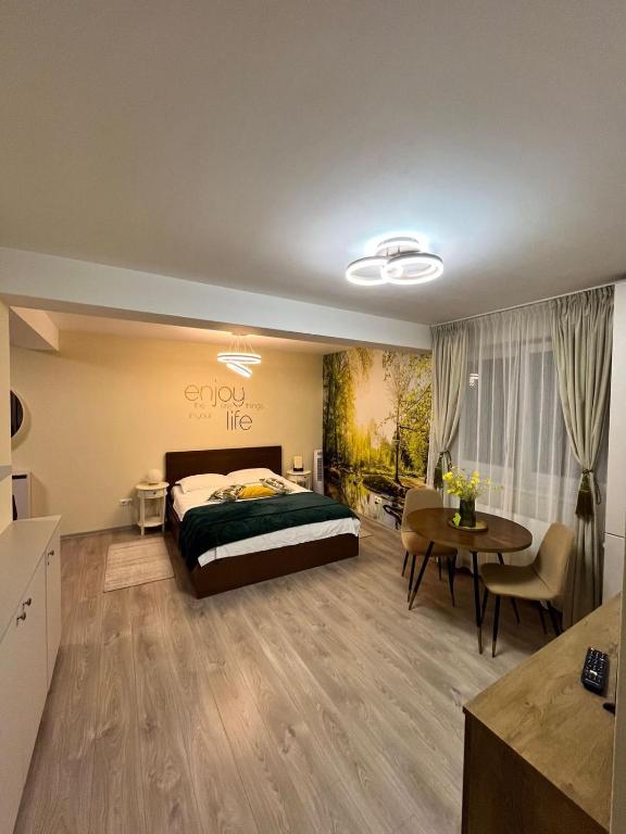 Confort Studio - Ferienwohnung Alba Iulia