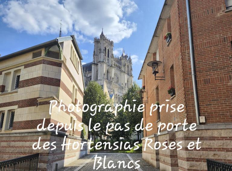Les Hortensias Blancs Studio - Ferienwohnung Amiens