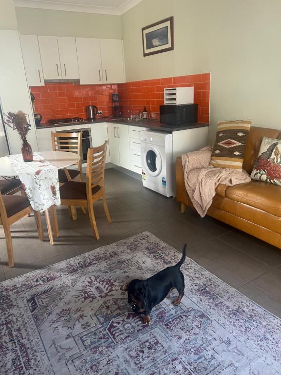 Urban Retreat - B&B Wollongong