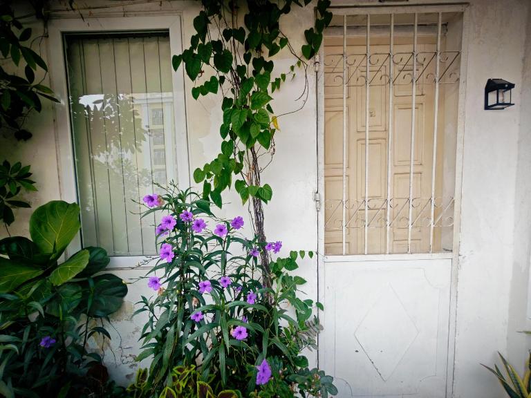 Cuc Cu Nest - Ferienwohnung Hanoi