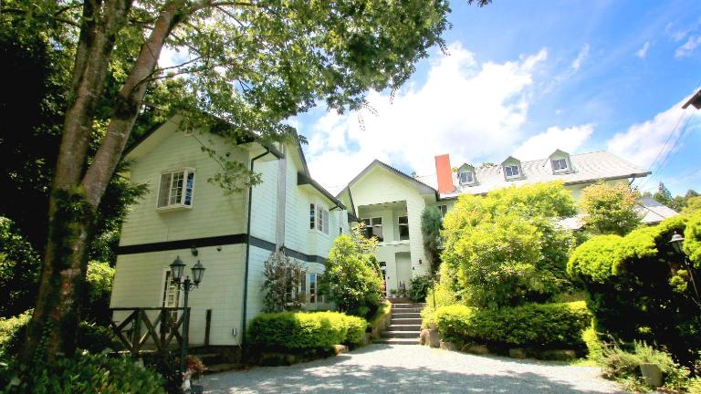 Bellbird - B&B Aso