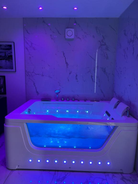 Suite Saint Esteve avec balneo au cœur d'un hameau - Ferienwohnung Brue-Auriac