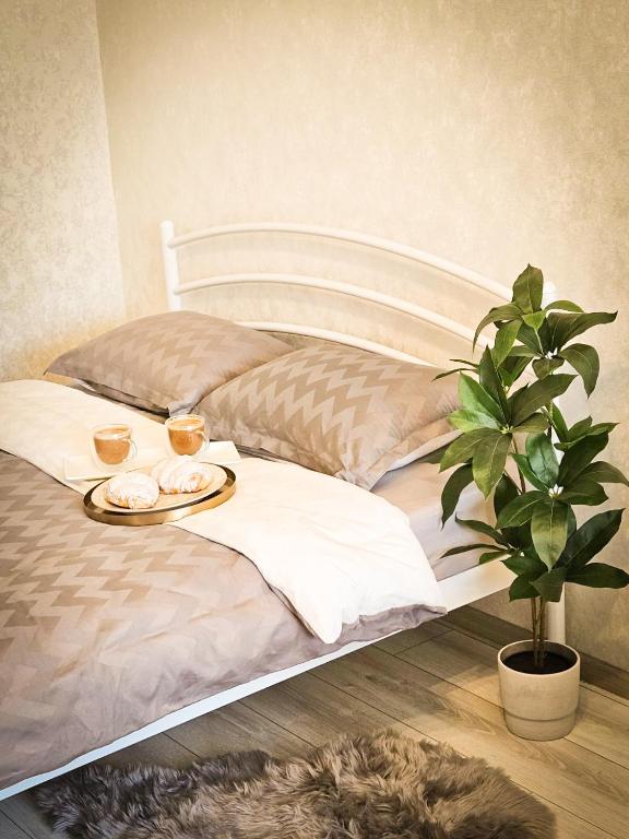 Апартаменты на Вечернем бульваре # Качалова - Chambres d'hôtes Kryvyï Rih
