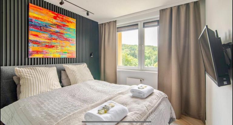Oliwa luxury apartment, free parking, high speed internet - B&B Danzica