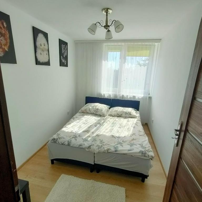 Apartament - Ferienwohnung Kodeń