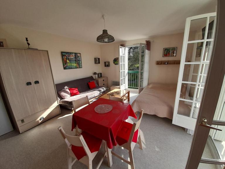 Studio lumineux centre-ville La Roche-Posay avec WI-FI, lave-linge, lave-vaisselle, animaux admis - FR-1-541-131 - B&B La Roche-Posay