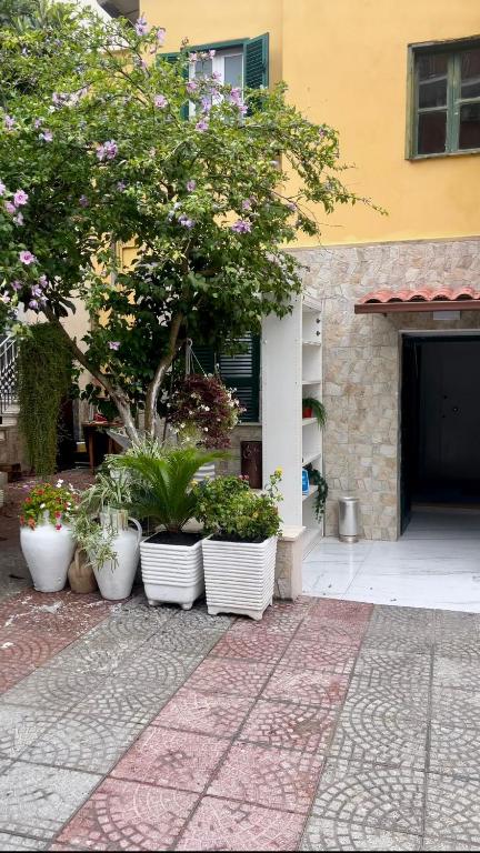 B&B Rainforest - B&B Roma