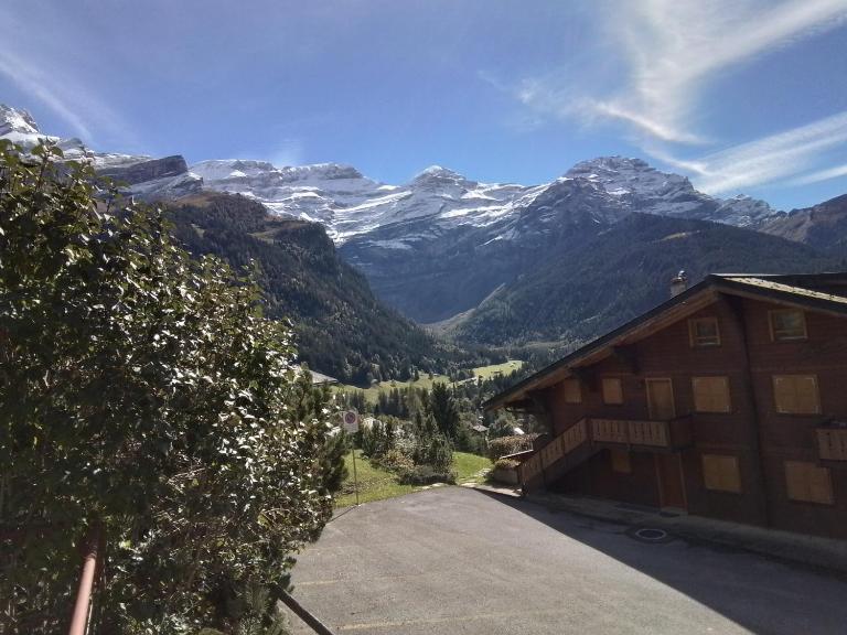 Delightful one bedroom apartment in Les Diablerets - Bed and Breakfast Les Diablerets