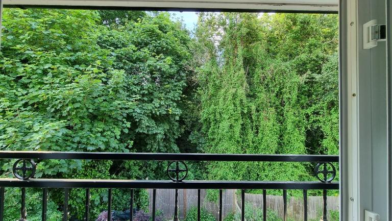 Beautiful home back into the woodland - B&B New Milton