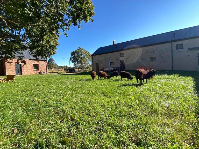 Siedlisko Białe Błota - B&B Skorzewo