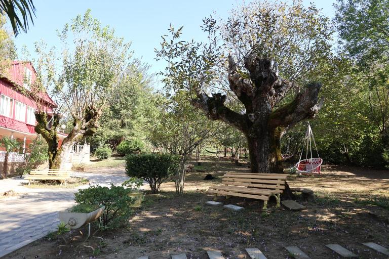Feel House - Bed and Breakfast Terjola