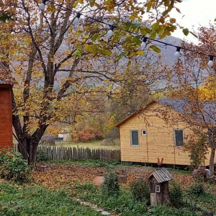 Guest House Brili - B&B Ghebi