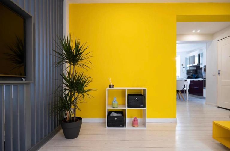 Euphoria Apartments - B&B Tirana