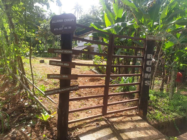 Dillenia canopy - B&B Mirissa city