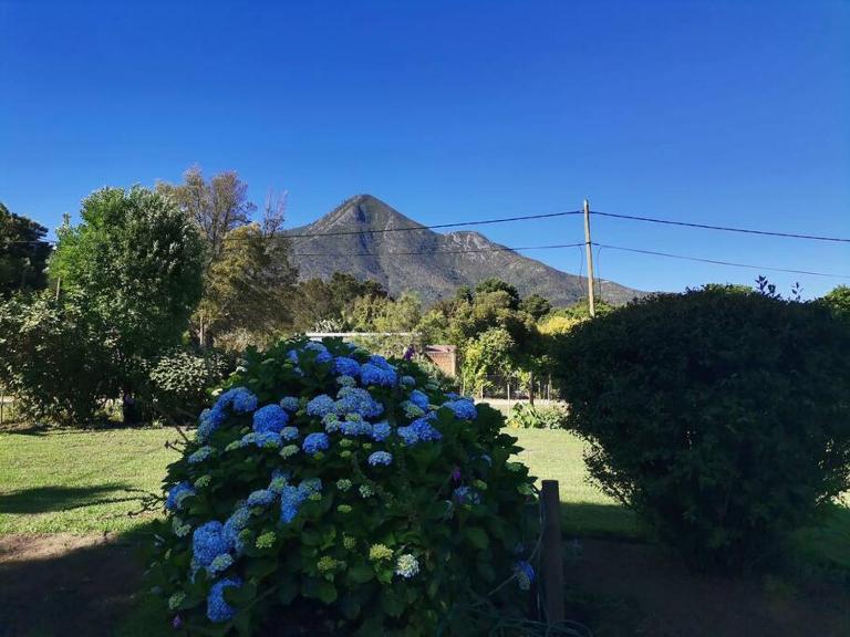 Next to Heaven Guesthouse - B&B Stormsrivier