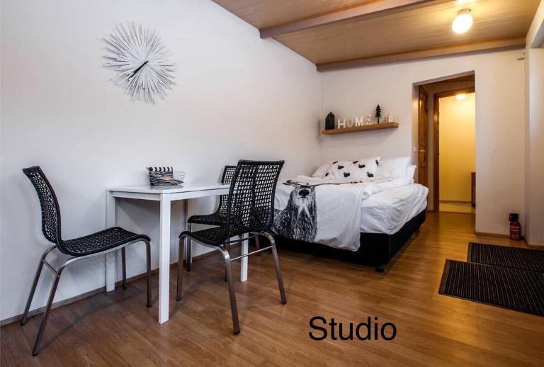 Great Location Downtown Studio - B&B Reykjavík