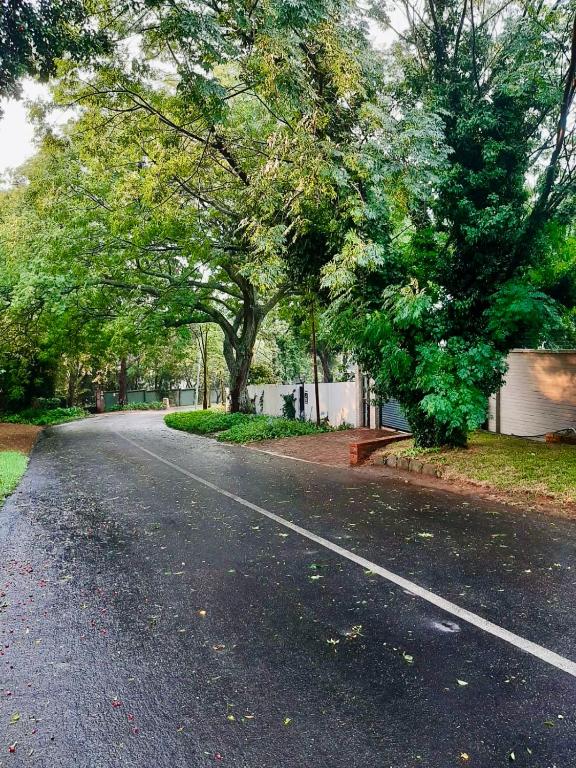 Peaceful Sandton Escape - Bed and Breakfast Johannesburg