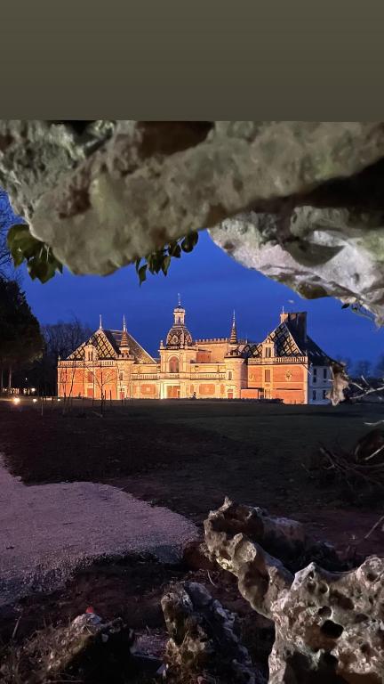 La "Suite" du Château de Chevigny-en-Valière comprenant deux chambres séparées, située à 12 minutes de la célèbre ville de Beaune - B&B Chevigny-en-Valière