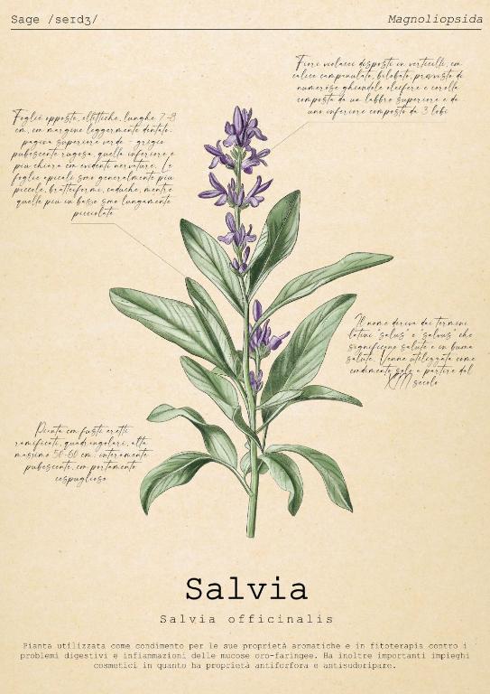 Le Floreali - Casa Salvia - B&B Bolsena