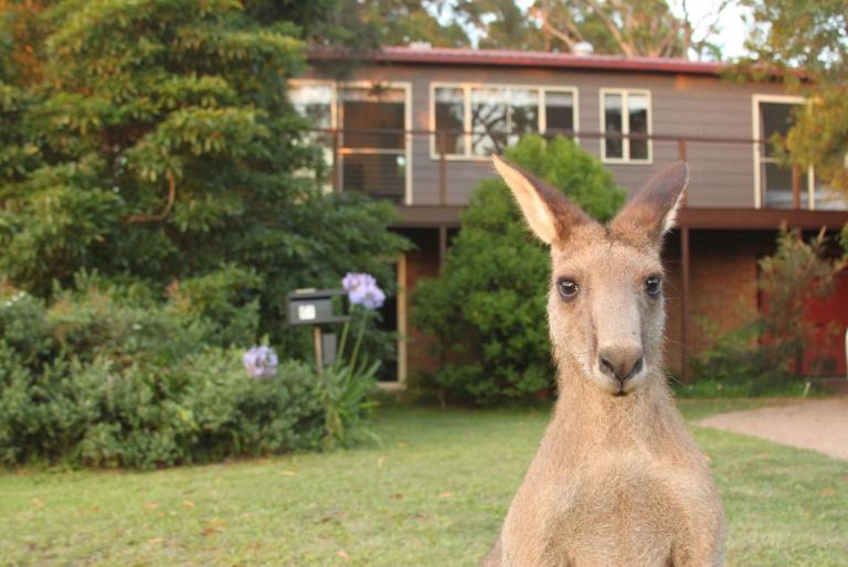Jan's Retreat by Experience Jervis Bay - Ferienwohnung Erowal Bay