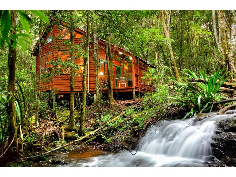 The Mouses House Rainforest Retreat - Chambres d'hôtes Springbrook