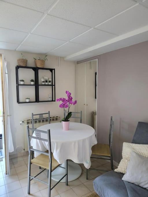 Charmant appartement 35 m2 avec terrasse et jardin - Chambres d'hôtes Domont