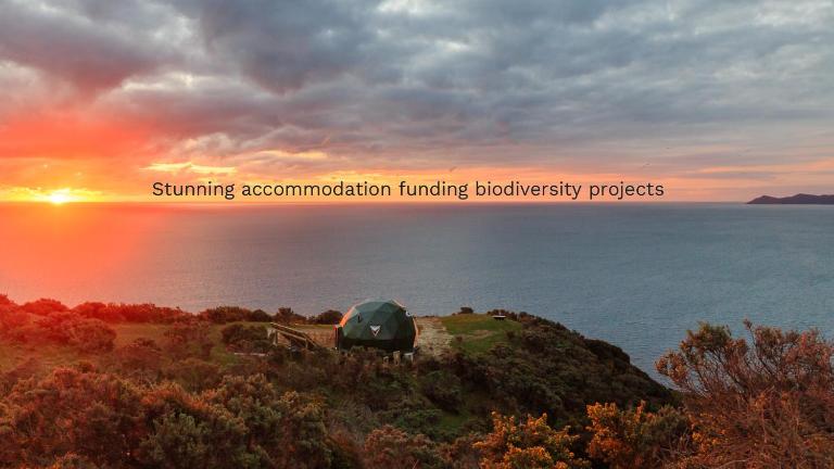 Escarpment Domes - B&B Porirua