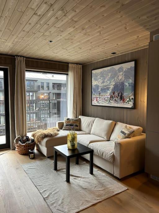 Ski-in ski-out - Hemsedal in Fjellandsbyen - view to the slopes - B&B Hemsedal