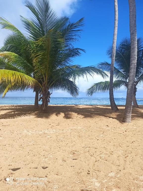 Appartement Alizé Vue Imprenable Sur La mer - B&B Sainte-Luce