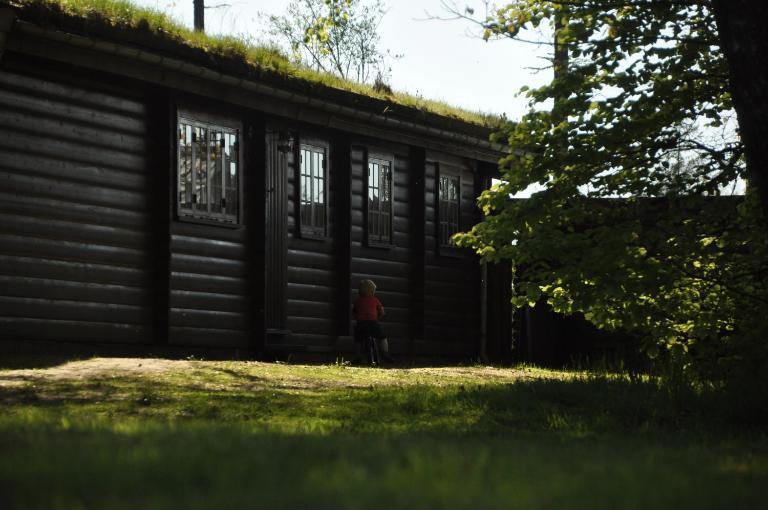 Log-House Wildernest - B&B Brande