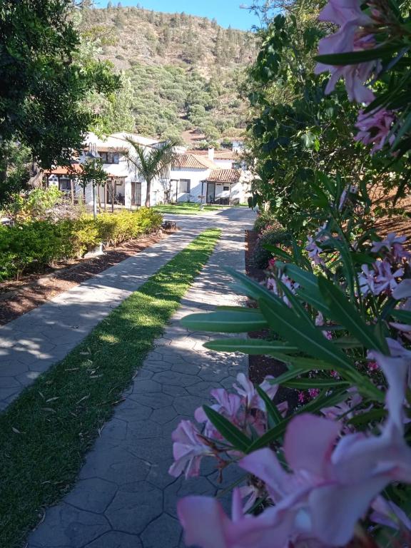 Casas Rurales Don Emilio - B&B Valsequillo de Gran Canaria