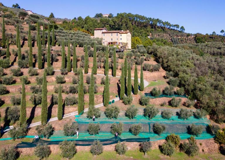 Luxury 6-bed Tuscan Villa near Lucca and Florence - B&B Castelvecchio