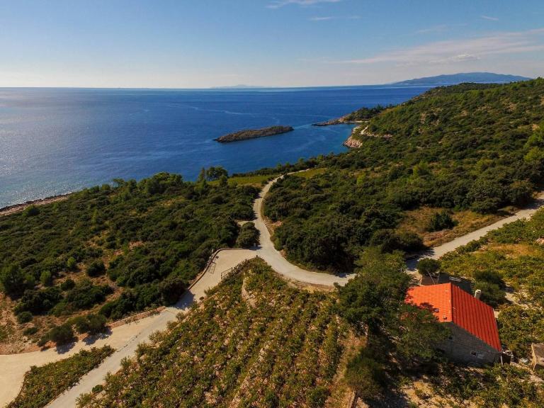 Holiday home in vineyard paradise Dingač Pelješac - B&B Potomje