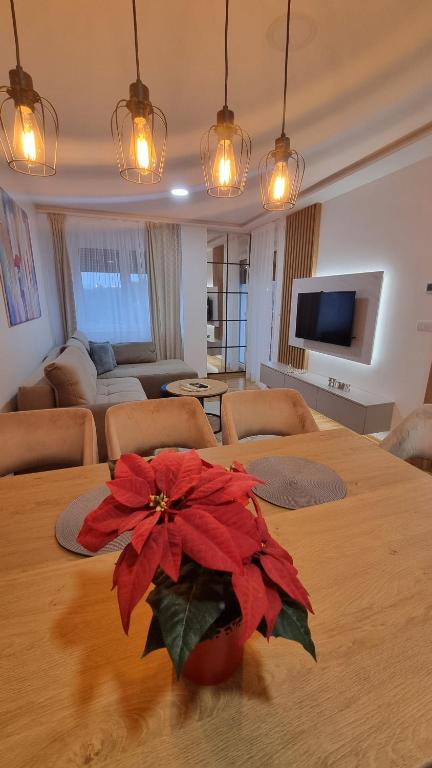 Sky Night - B&B Zlatibor