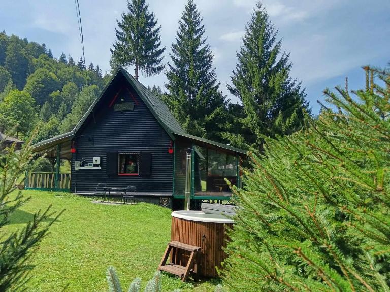 Schwarz Kabin - Bed and Breakfast Neagra