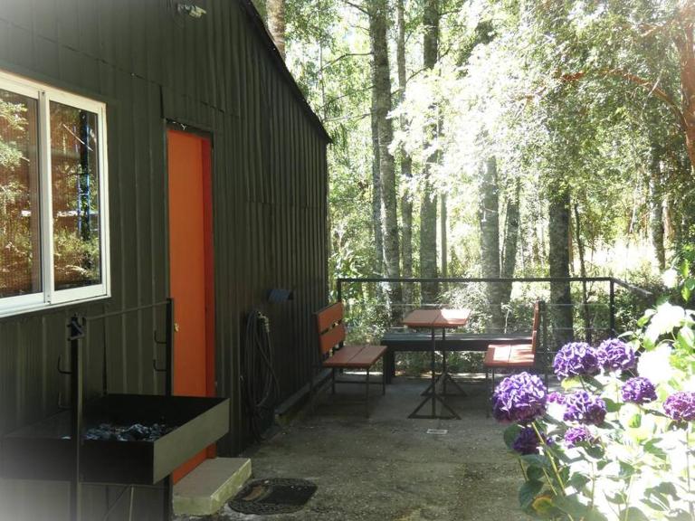 cabaña en la naturaleza - B&B Futrono