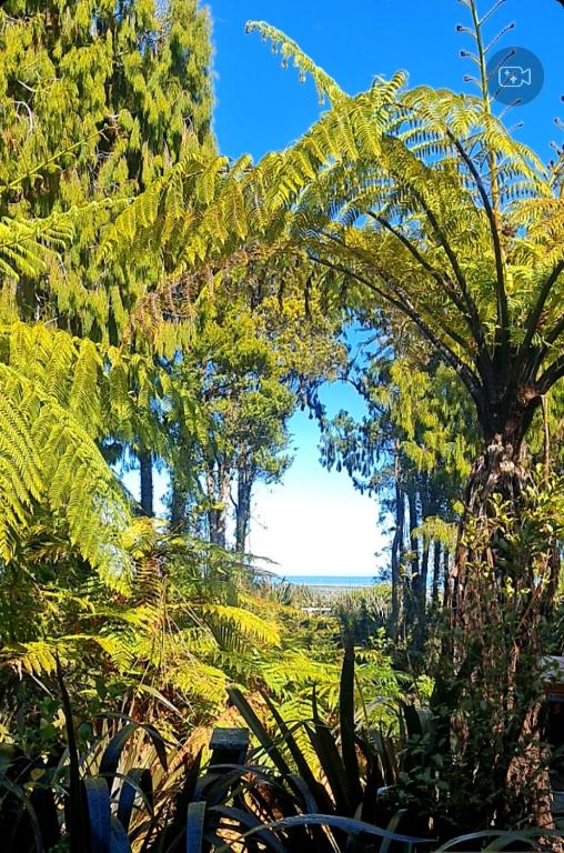 Oceanview at Brickfield - Bed and Breakfast Hokitika